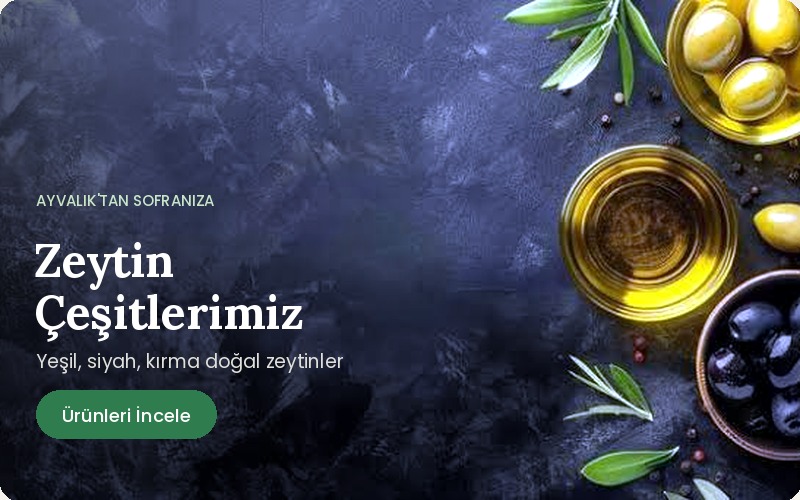 Zeytin Çeşitleri